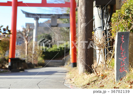 足利織姫神社 36702139