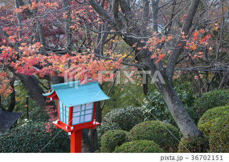 足利織姫神社 36702151