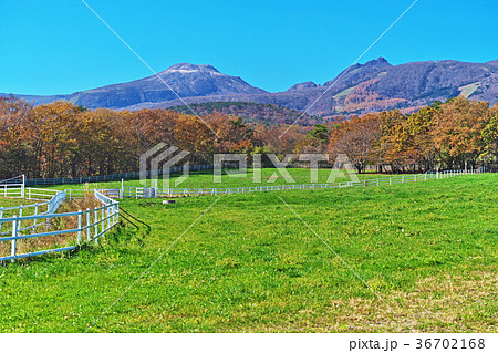 那須高原 牧場 那須高原 牧場 36702168