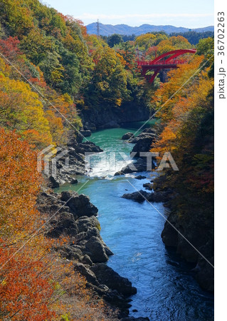 高津戸峡　　群馬　大間々 36702263