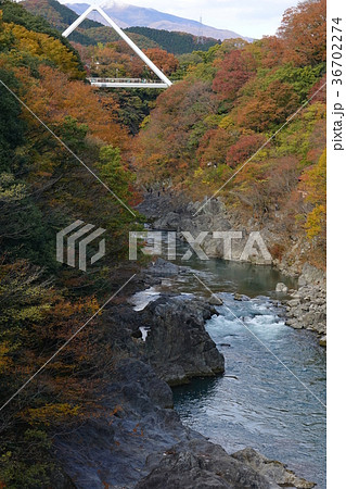 高津戸峡　　群馬　大間々 36702274