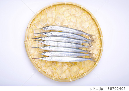 サヨリ　食材 36702405