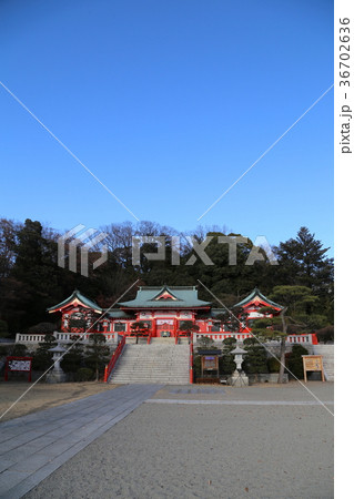 足利織姫神社 足利織姫神社 36702636