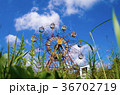 錆れた遊園地 36702719