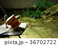 義歯と退廃 36702722