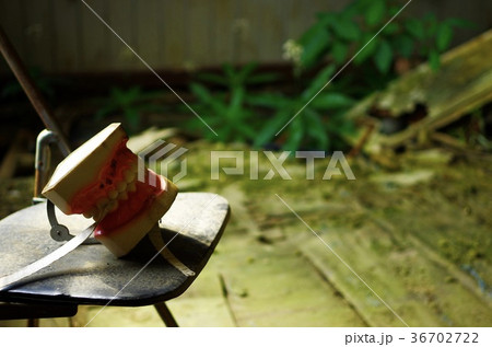 義歯と退廃 36702722