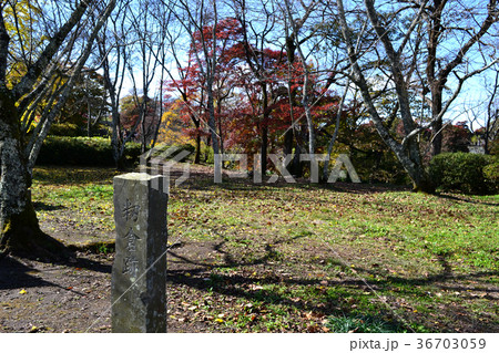 豊後竹田 岡城跡(紅葉の季節) 豊後竹田 岡城跡(紅葉の季節) 36703059