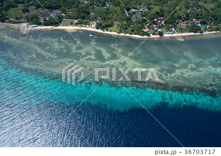 セブ島の空撮風景 セブ島の空撮風景 36703717