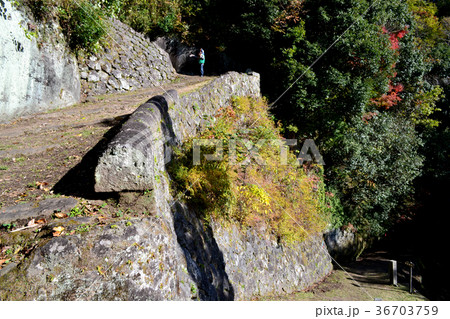 豊後竹田　岡城跡（紅葉の季節）　 36703759