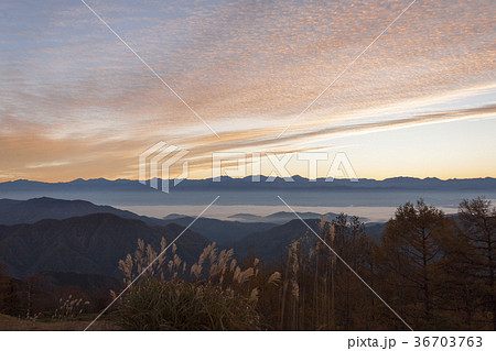 朝焼けに輝く雲海 朝焼けに輝く雲海 36703763