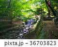 2段の滝 36703823