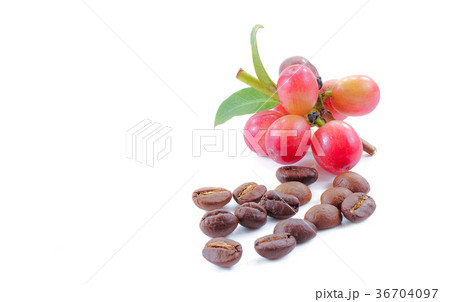coffee beans close up on background. coffee beans close up on background. 36704097