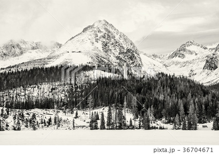 Solisko with springboard for ski jumping, Slovakia Solisko with springboard for ski jumping, Slovakia 36704671