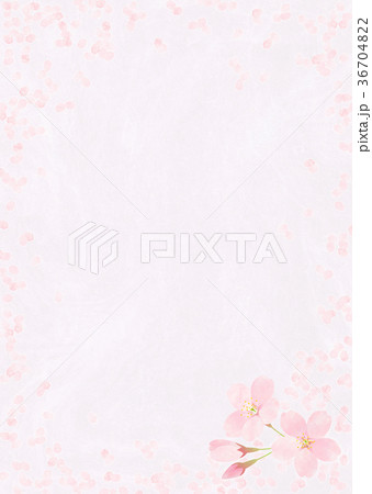 背景素材_桜 背景素材_桜 36704822