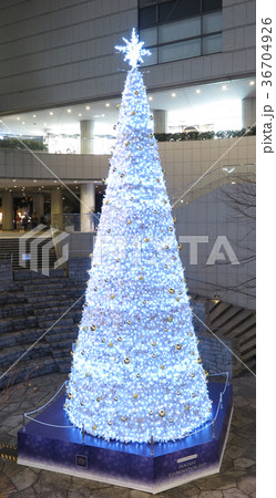 クリスマスツリー 36704926