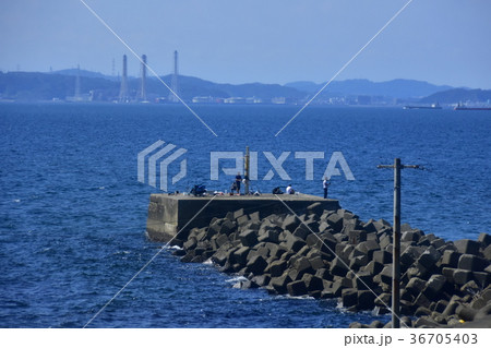 浦賀水道の景色 浦賀水道の景色 36705403