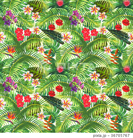 Tropical exotic seamless pattern 36705767