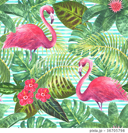 Summer tropical exotic background Summer tropical exotic background 36705798