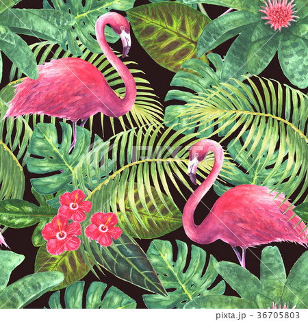 Paradise exotic seamless pattern Paradise exotic seamless pattern 36705803