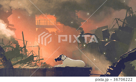 the dog wearing gas mask sitting in city 36706222
