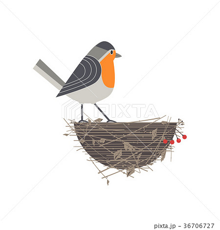Robin bird icon Robin bird icon 36706727