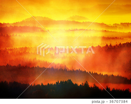 Abstract effect.Dreamy landscape lost in thick fog Abstract effect.Dreamy landscape lost in thick fog 36707384