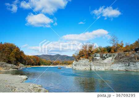 長瀞の紅葉と長瀞ライン下り　 36709295