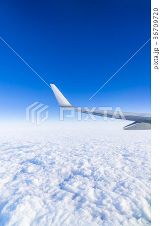 雲の上の風景　機内撮影（日本上空）飛行機の翼 36709720