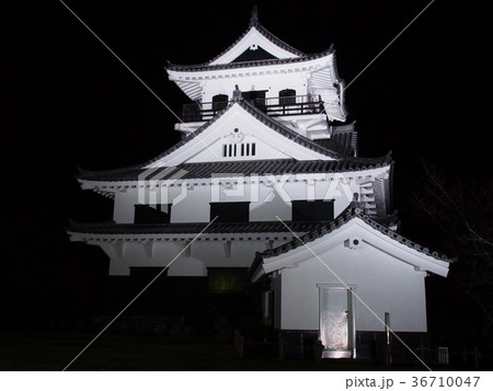 館山城 36710047