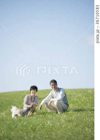 草原で微笑むシニア夫婦と犬 草原で微笑むシニア夫婦と犬 36710583