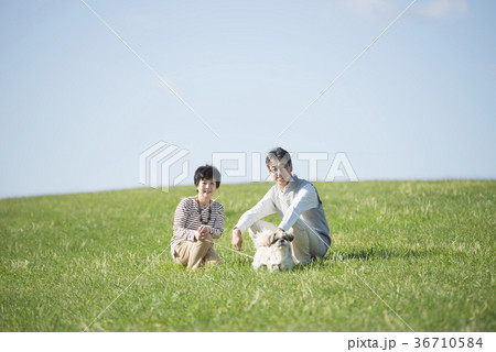 草原で微笑むシニア夫婦と犬 草原で微笑むシニア夫婦と犬 36710584