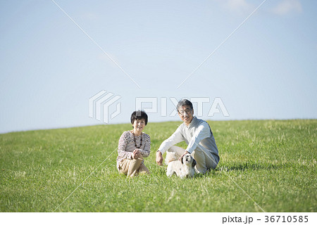 草原で微笑むシニア夫婦と犬 36710585