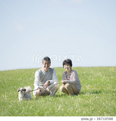 草原で微笑むシニア夫婦と犬 36710586