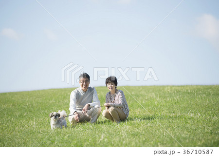 草原で微笑むシニア夫婦と犬 草原で微笑むシニア夫婦と犬 36710587