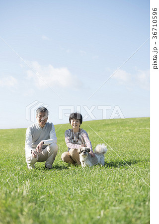草原で微笑むシニア夫婦と犬 36710596