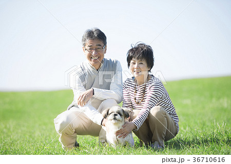 草原で微笑むシニア夫婦と犬 草原で微笑むシニア夫婦と犬 36710616