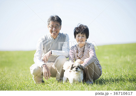 草原で微笑むシニア夫婦と犬 草原で微笑むシニア夫婦と犬 36710617