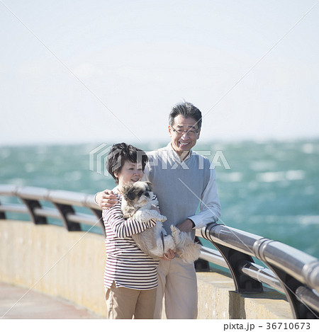 犬を抱き微笑むシニア夫婦 犬を抱き微笑むシニア夫婦 36710673