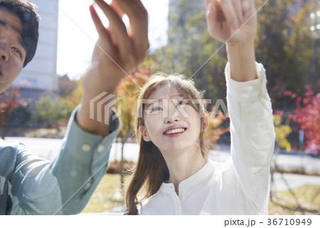 建築 木 仲間 36710949