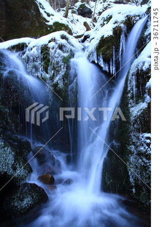 冬の薄衣の滝 36711745