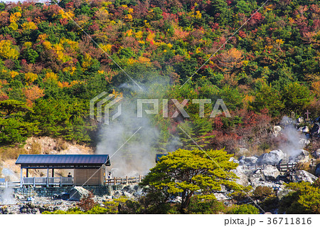 雲仙地獄と紅葉 お糸地獄 長崎 雲仙地獄と紅葉 お糸地獄 長崎 36711816