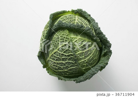 36711904