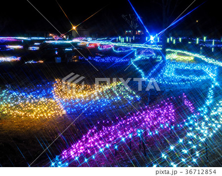イルミネーション 36712854