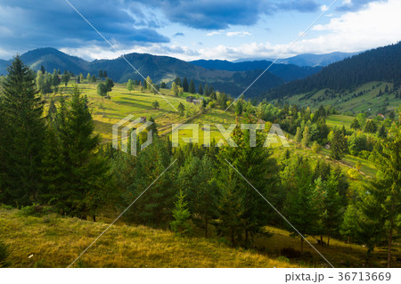 Image of Karpaty mountains Image of Karpaty mountains 36713669