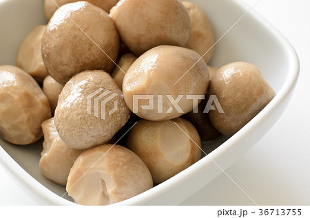 ふくろ茸の水煮 36713755