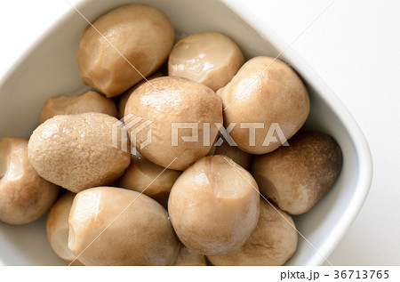 ふくろ茸の水煮 36713765