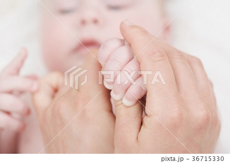 36715330