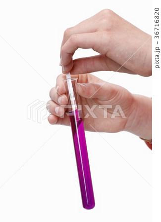 36716820