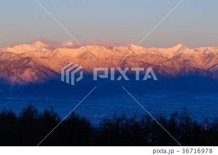 朝焼けの北アルプス 36716978