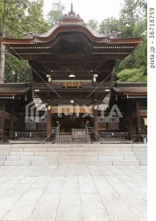 新緑の下社秋宮 36718759